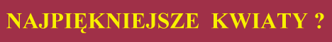 Serwis botaniczny