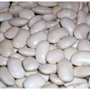 Fasola tyczna Ja˜ś (Phaseolus coccineus) nasiona