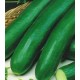 Ogórek sałatkowy długi (Cucumis sativus) nasiona