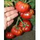 Nasiona pomidora malinowego "od Taty" 10 szt