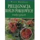 Pielęgnacja Roślin Pokojowych tradycyjnych