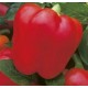 Papryka Czerwona (Capsicum Annuum) nasiona