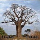 Baobab (Adansonia Digitata) nasiona